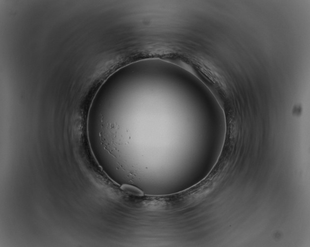 X0000100750362200806191149