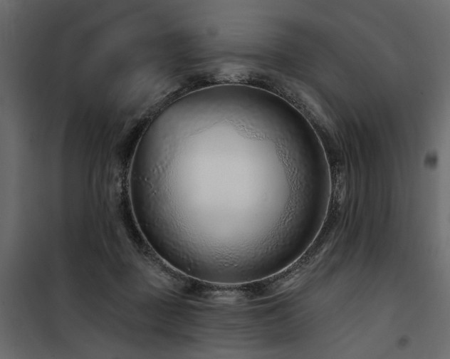 X0000100750363200806191149