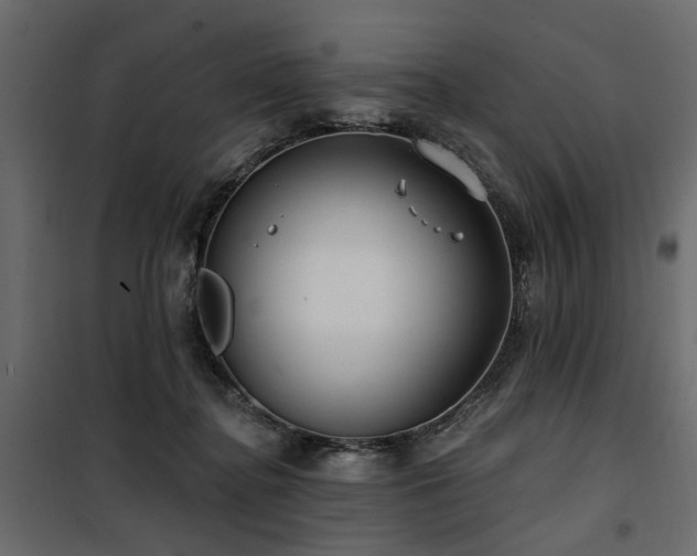 X0000100750364200806191149