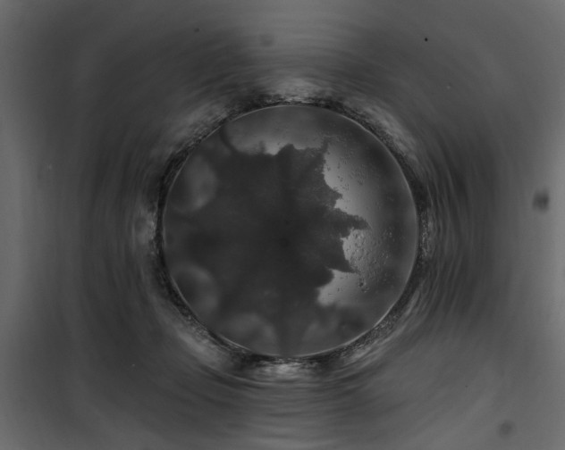 X0000100750365200806191149