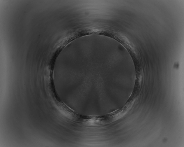 X0000100750366200806191149