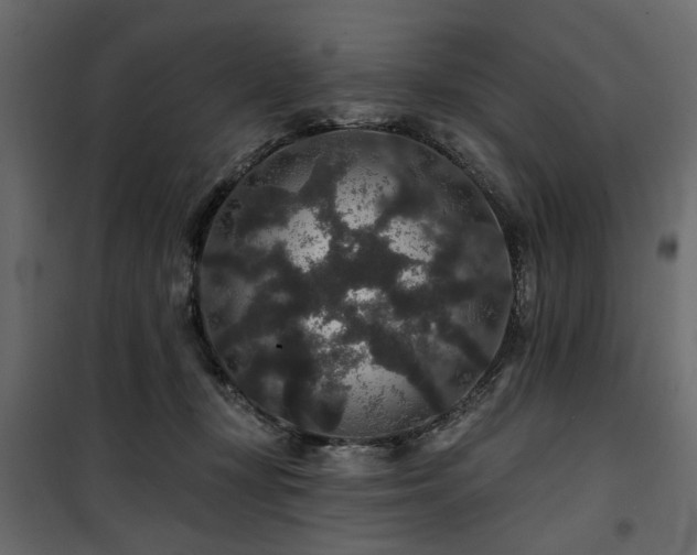 X0000100750367200806191149