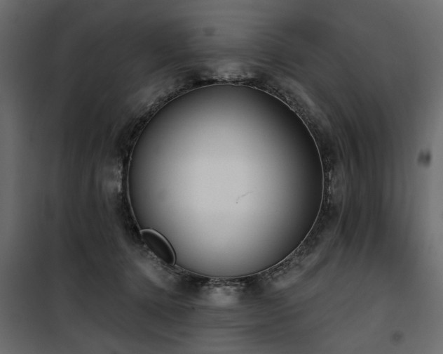 X0000100750368200806191149