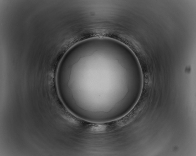 X0000100750369200806191149