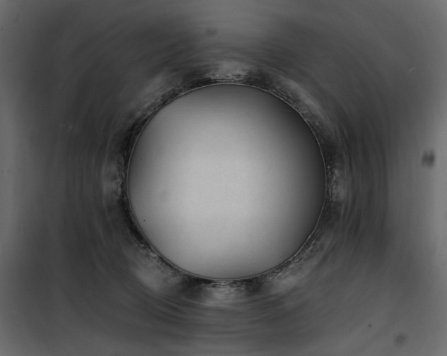 X0000100750370200806191149