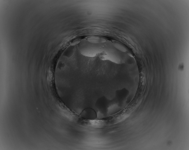 X0000100750371200806191149