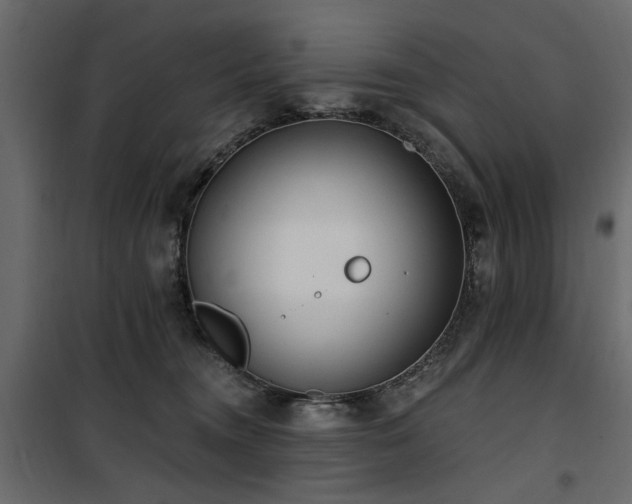 X0000100750372200806191149