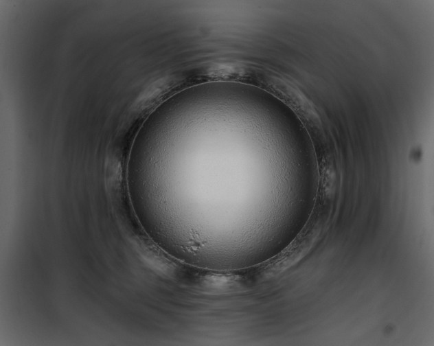 X0000100750375200806191149