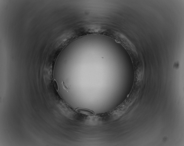 X0000100750376200806191149