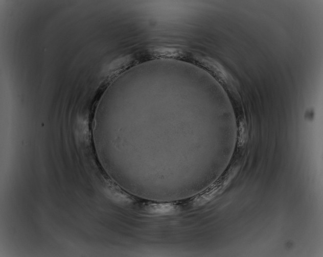 X0000100750377200806191149