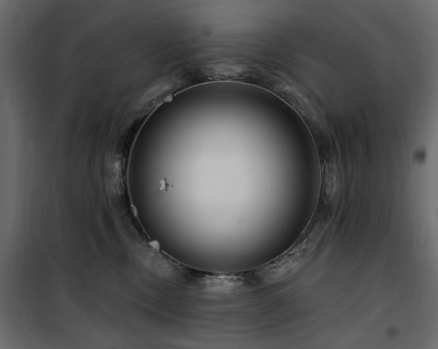 X0000100750378200806191149