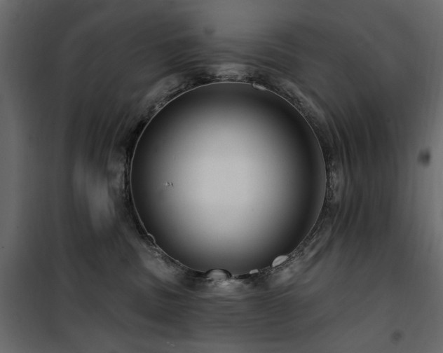 X0000100750379200806191149