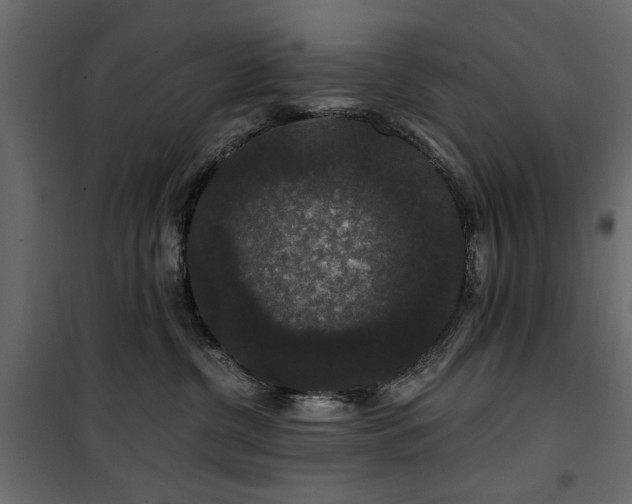 X0000100750380200806191149