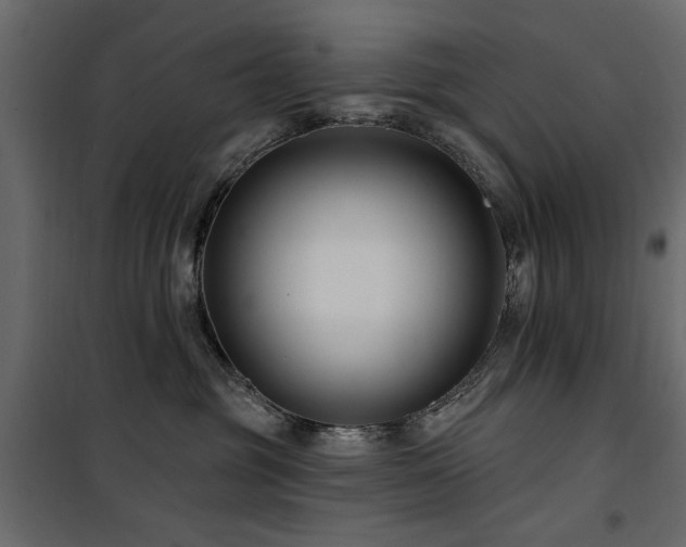 X0000100750381200806191149