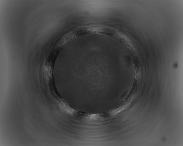 X0000100750382200806191149