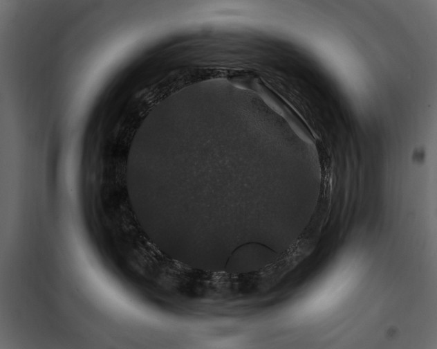 X0000100750383200806191149