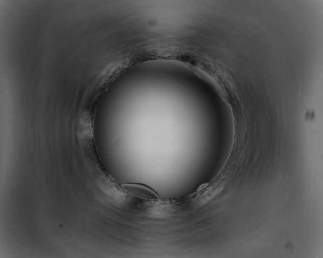 X0000100750384200806191149