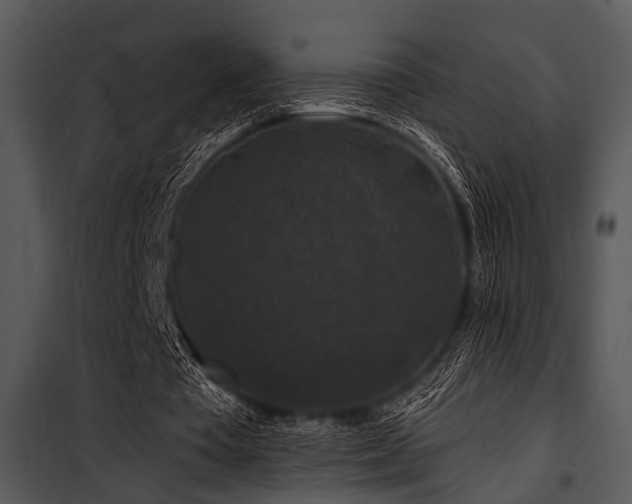 X0000100750385200806191149