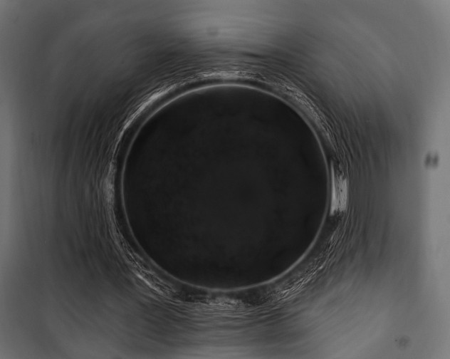 X0000100750387200806191149