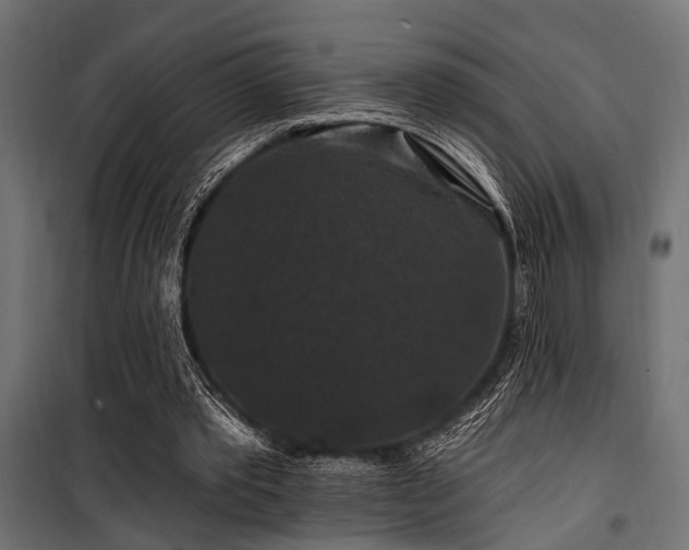 X0000100750389200806191149