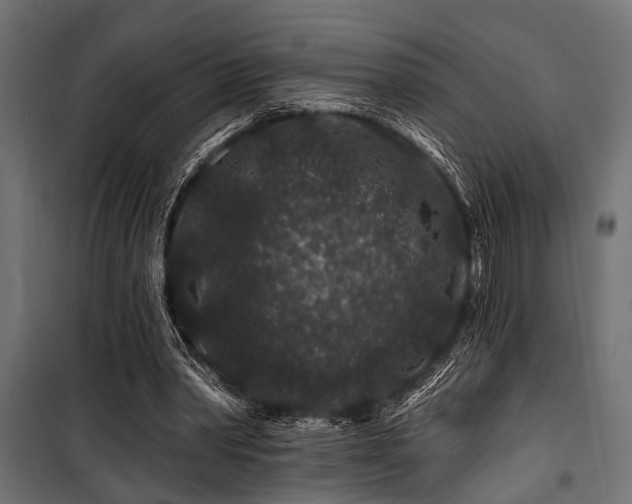 X0000100750390200806191149