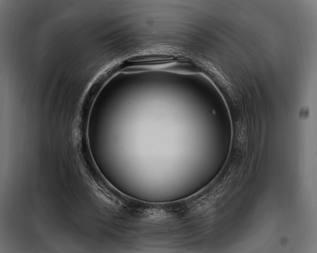 X0000100750392200806191149