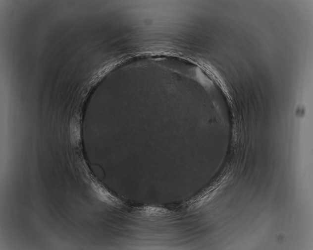 X0000100750393200806191149