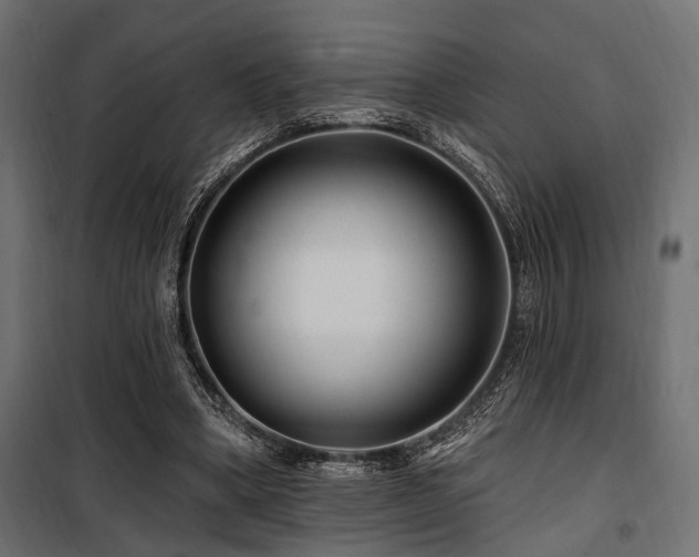 X0000100750394200806191148