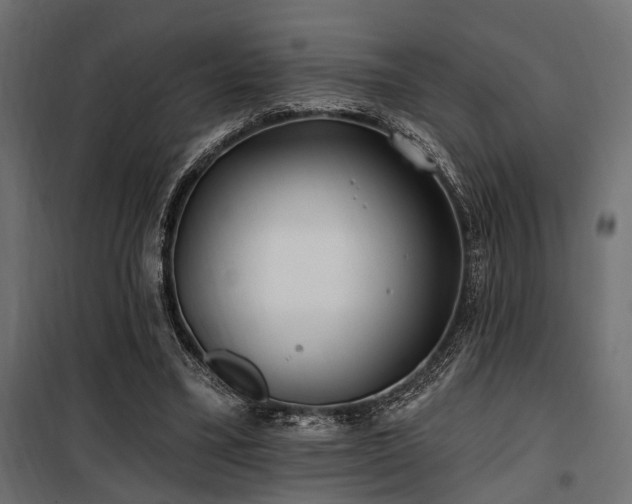 X0000100750395200806191148