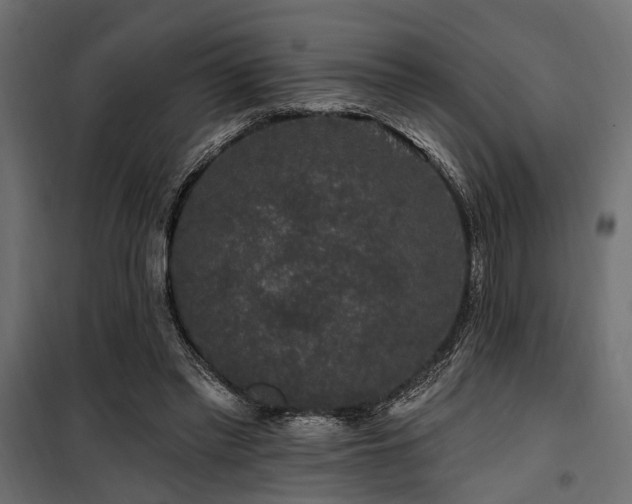 X0000100750397200806191148