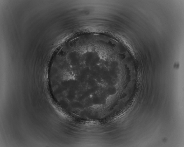 X0000100750398200806191148