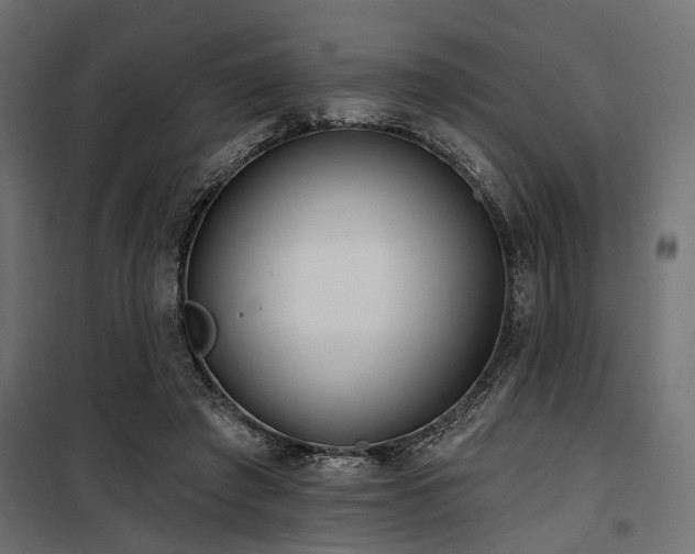 X0000100750401200806191148