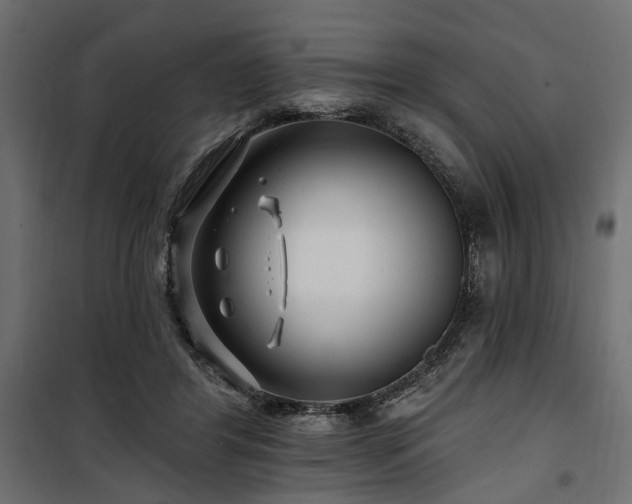 X0000100750404200806191148