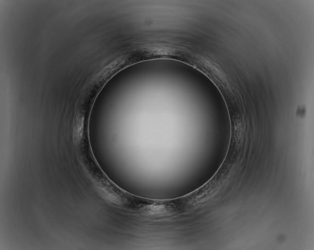 X0000100750406200806191148