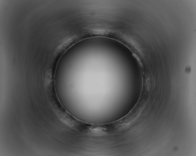 X0000100750407200806191148