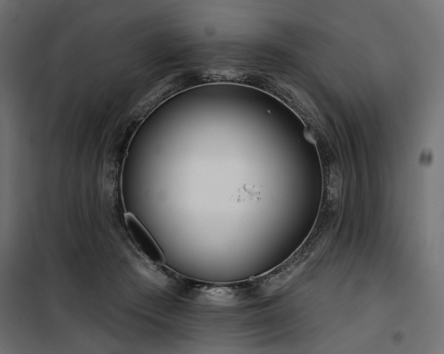 X0000100750409200806191148