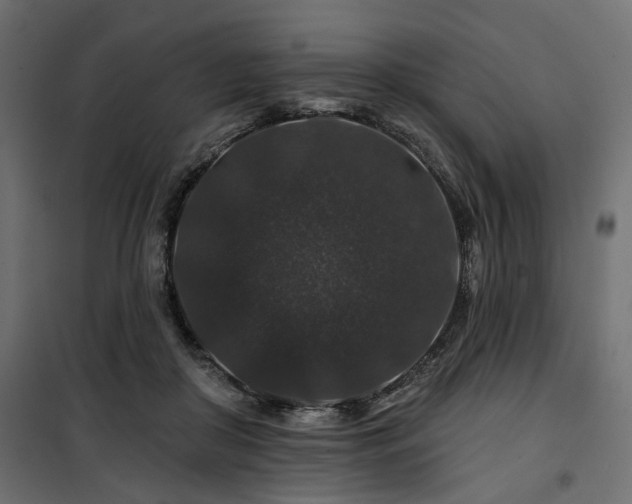 X0000100750410200806191148