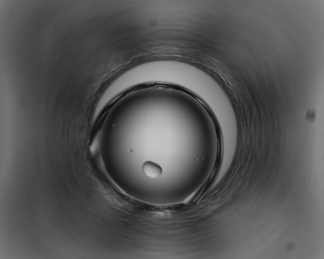 X0000100750411200806191148