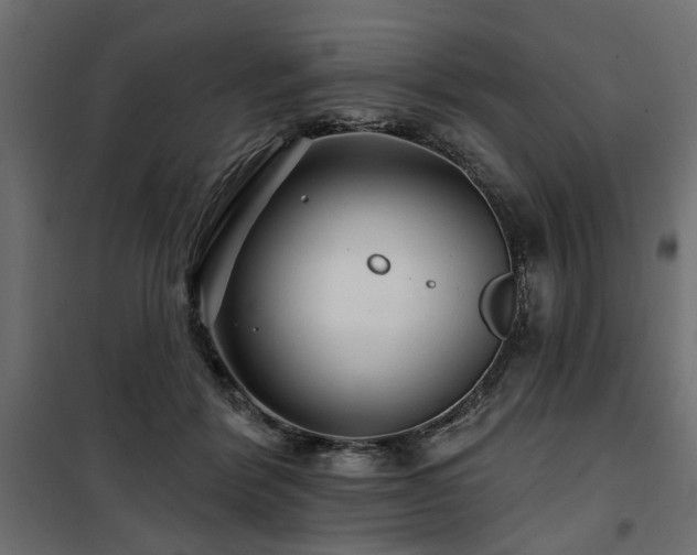 X0000100750412200806191148