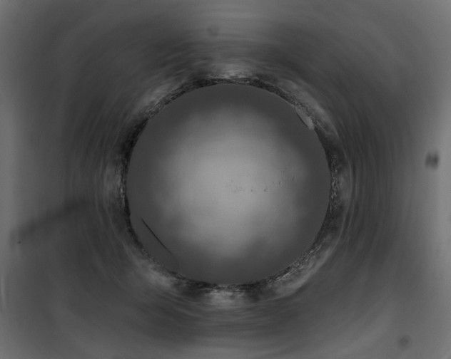 X0000100750415200806191148