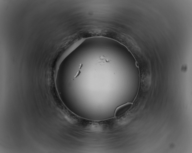 X0000100750416200806191148