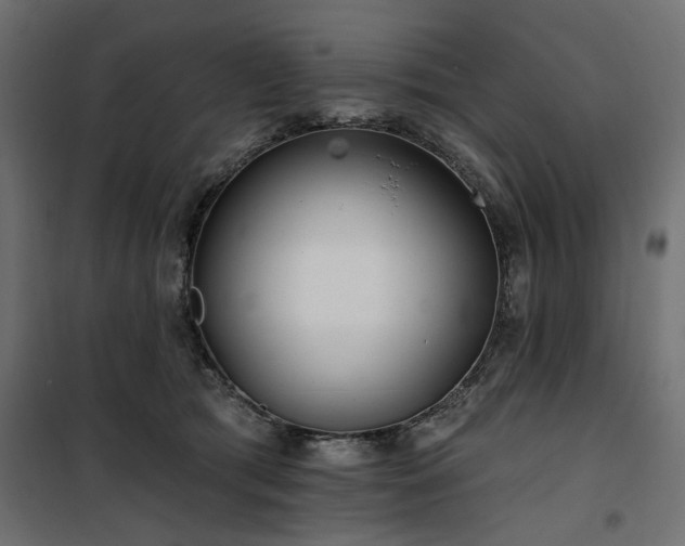 X0000100750417200806191148