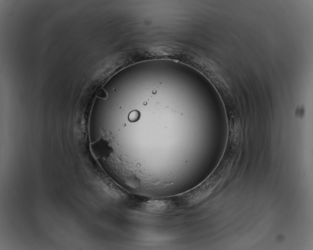 X0000100750418200806191148