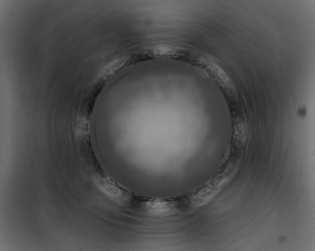 X0000100750419200806191148