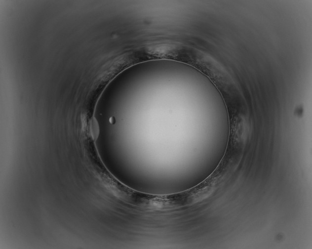 X0000100750420200806191148