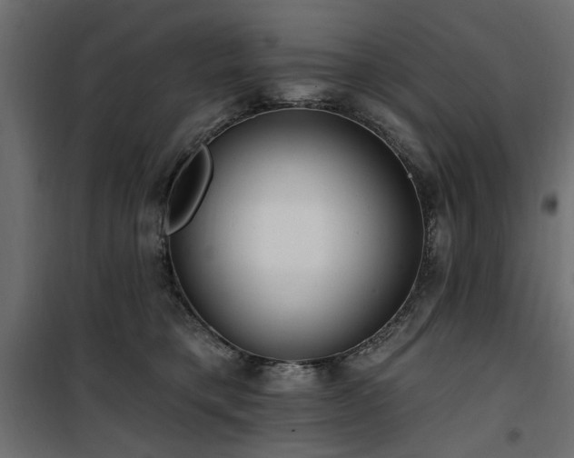 X0000100750421200806191148