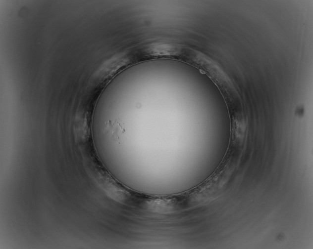 X0000100750422200806191148