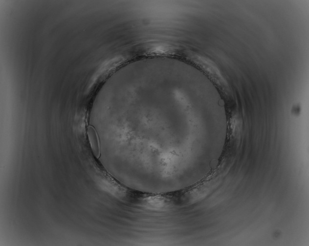 X0000100750423200806191148