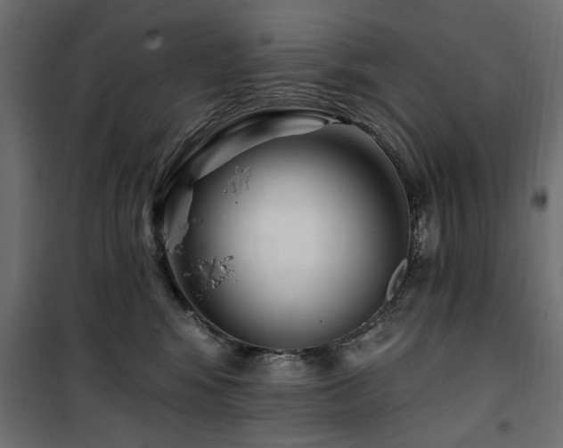 X0000100750424200806191148