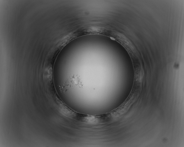 X0000100750425200806191148